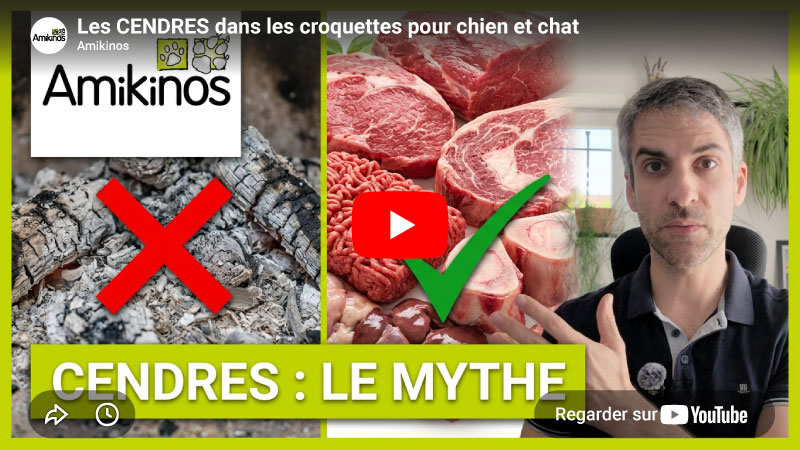 Miniature YouTube de la vidéo Amikinos "Les CENDRES dans les croquettes pour chien et chat "