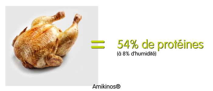 Un poulet = 54% de protéines à 8% d'humidité