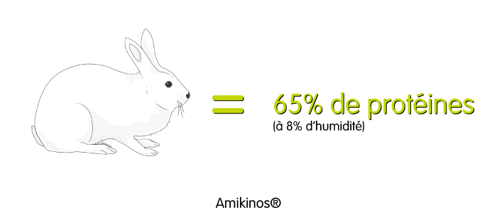 Un lapin = 65% de protéines à 8% d'humidité