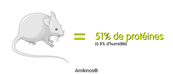 Une souris = 51% de protéines à 8% d'humidité