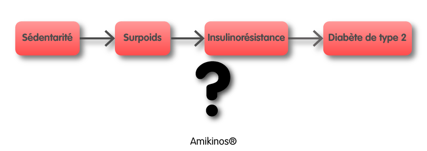 Schéma montrant l'hypothèse selon laquelle : Sédentarité = surpoids = insulino-résistance = diabète type 2