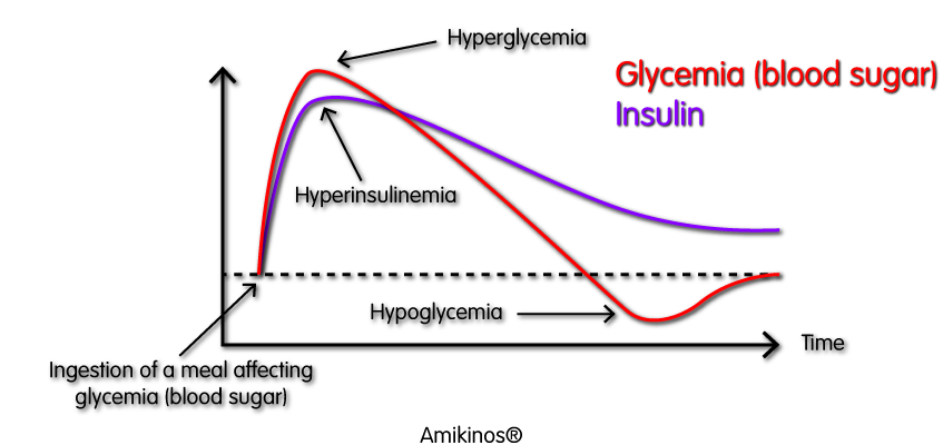 188 / 5 000 Résultats de traduction A kibble with a high level of carbohydrates with a high glycemic index will cause an increase in blood glucose levels (glycaemia) and therefore a large production of insulin.