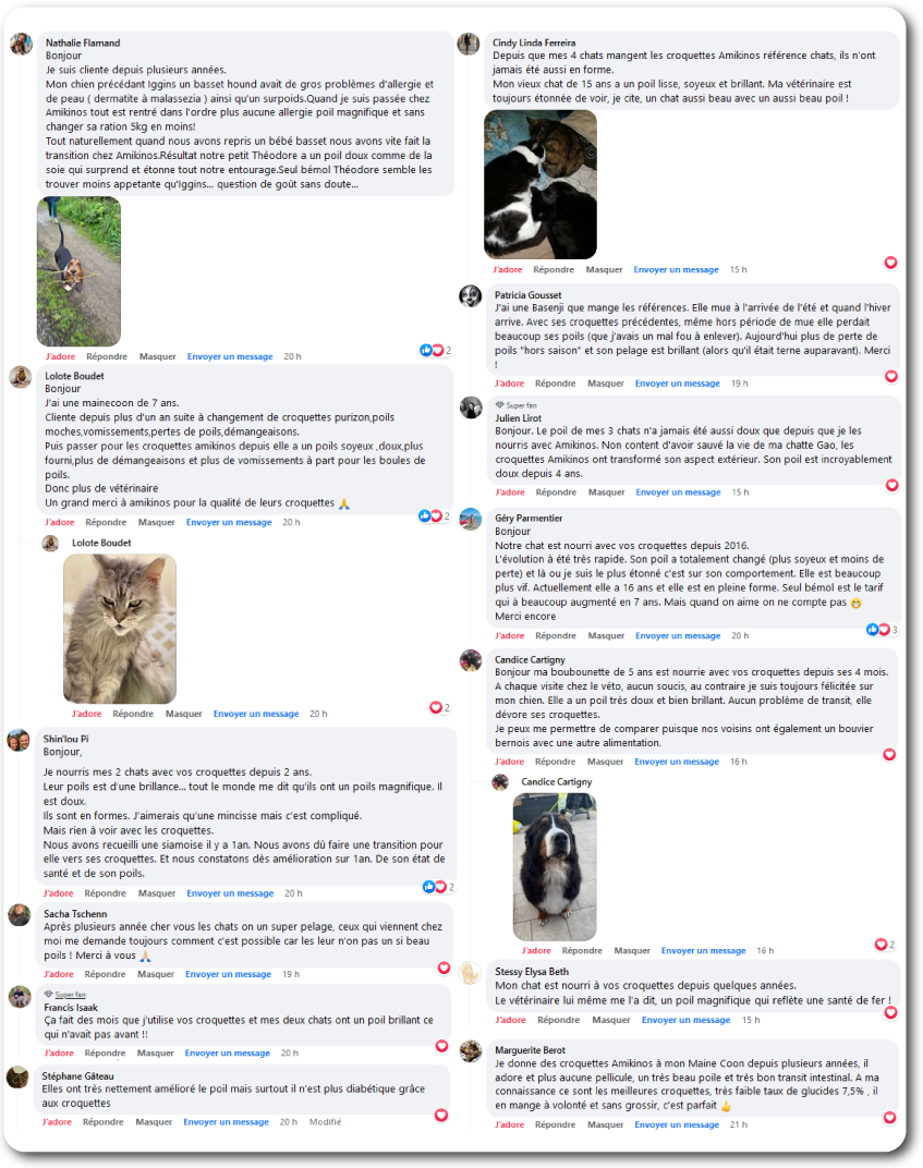 Capture d'écran de témoignages de clients Amikinos sur Facebook expliquant l'impact bénéfique des croquettes Amikinos sur la peau et le poil de leurs chiens et chats.