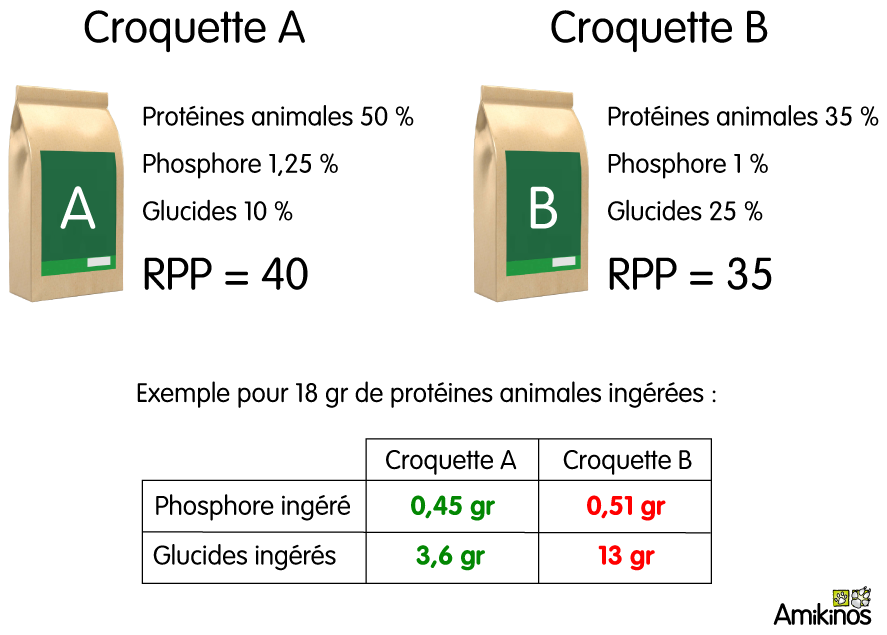 Comparatif entre une croquette A (avec 50% de protéines animales, 1,25 % de phosphore et 10% de glucides) ayant un RPP de 40 et une croquettes B (avec 35% de protéines animales, 1 % de phosphore et 25% de glucides). Pour 18 gr de protéines ingérés il y aura 0,45 gr de phosphore et 3,6 gr de glucides ingérés pour la croquette A contre 0,51 gr de phosphore et 13 gr de glucides ingérés pour la croquette B.