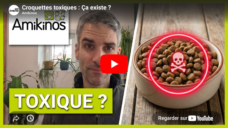 Miniature Youtube de la vidéo Amikinos "Croquettes toxiques : Ça existe ?"