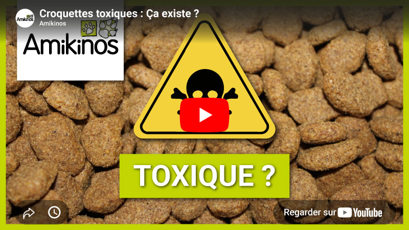 Miniature Youtube de la vidéo Amikinos "Croquettes toxiques : Ça existe ?"