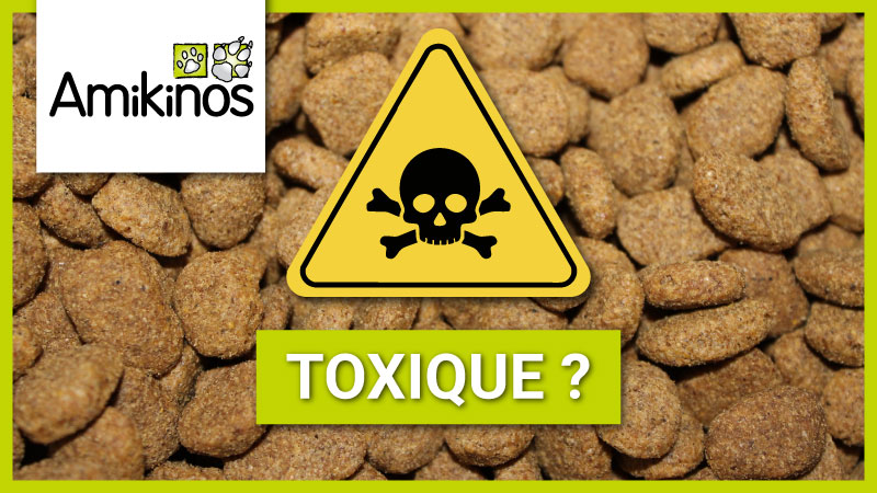 Photo montrant des croquettes avec un panneau "tête de mort" dessus suivi de la mention "Toxique ?"
