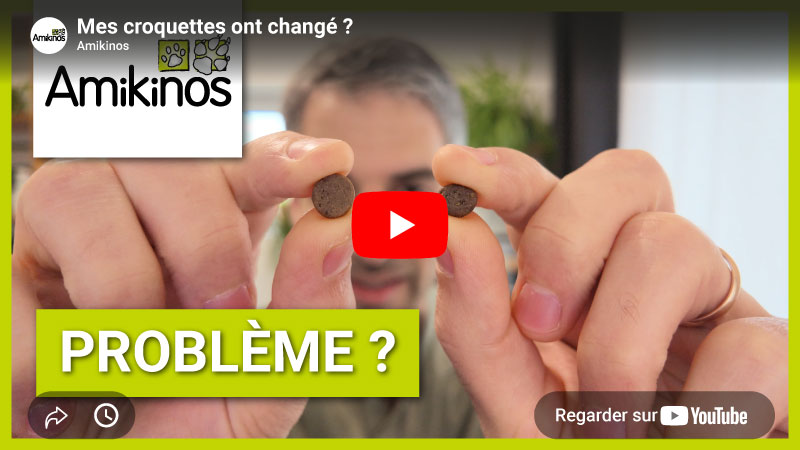 Miniature Youtube de la vidéo "Mes croquettes ont changé ?"