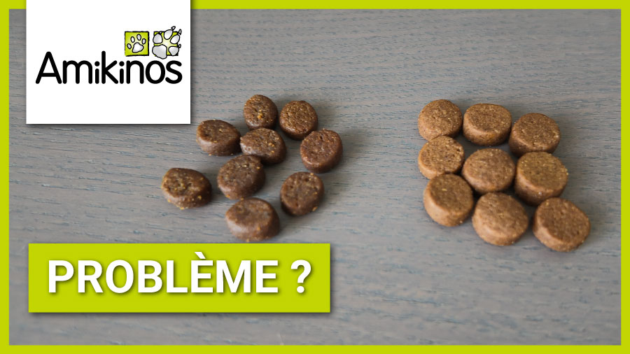 article en image